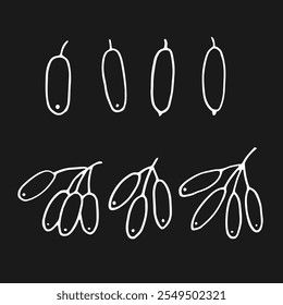 Set barberry berries. Hand drawn vector illustration in outline style.