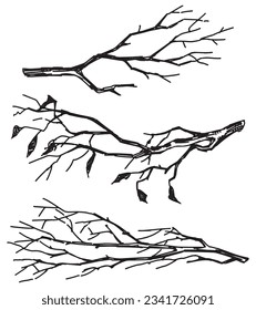 Set of bare branches. Sketches of leafless tree twigs. Hand drawn vector illustrations. Outline clipart collection isolated on white.