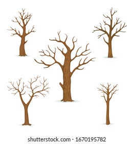 Set of bare, leafless trees with empty branches isolated on a white background. Vector illustration. Winter, late autumn icon.