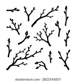 Set of bare tree branches with small buds on white background. Suitable for botanical design, spring and nature themes, invitations, and seasonal decoration projects.