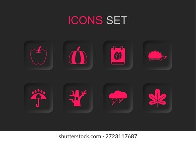 Conjunto de árbol desnudo, calabaza, manzana, nube y relámpago, erizo, hoja de castaño, calendario con hojas de otoño y paraguas icono de gotas de lluvia. Vector