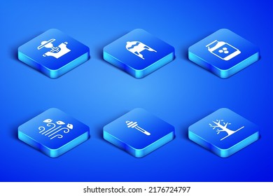 Set Bare tree, Scarecrow, Honey dipper stick, Windy weather, Winter hat and Jar of honey icon. Vector