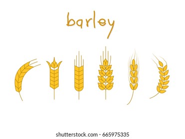 Set of barley vector, Symbol of barley illustration.