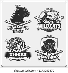 371 Wildcats Baseball Images, Stock Photos & Vectors | Shutterstock