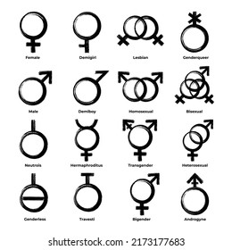 Set Basic Gender Symbols Female Demigirl Stock Vector (Royalty Free ...