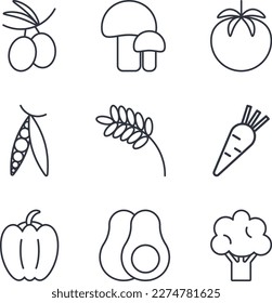 Set of basic vegetables icons isolated. Black line line icons. Healthy organic food