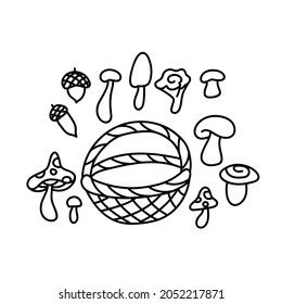 Set of basket with mushrooms and acorns. Bundle - white mushroom, fly agaric, chanterelle, honey mushrooms. Vector illustration in cartoon style for kids for coloring book or woodburning.