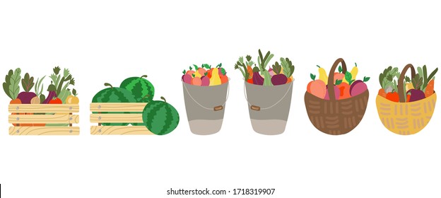 set of basket, shopping bag, box with fruits and vegetables. Mesh eco bag full of fruit and vegetable isolated on white background. Modern shopper with fresh organic food from local market.