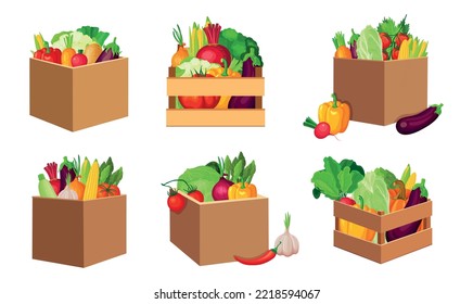 Set a basket of vegetables in cartoon style. Vector illustration of different vegetables in boxes and crates on white background.