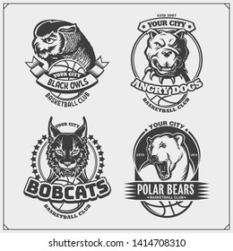 Set of basketball badges, labels and design elements. Sport club emblems with pitbull, owl, bobcat and polar bear. Print design for t-shirts.