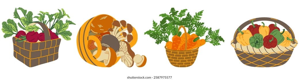 Set of baskets with beet, carrots, mushrooms and bell peppers. Healthy vegetarian food. Flat vector illustration.