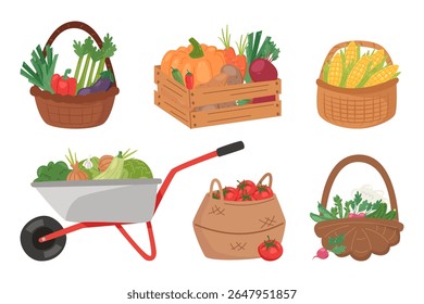 Conjunto de cestos, caixa e carrinho de mão cheio de vegetais frescos. Milho desenhado à mão, tomate, abóbora, repolho, rabanete, cenoura, berinjela e verduras. Colheita de culturas frescas colhidas. Ilustração vetorial