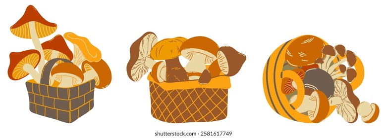 Set of baskets with different types of mushrooms in vector. Flat graphic vector illustration.