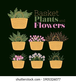 set of baskets, plants and flowers vector illustration design