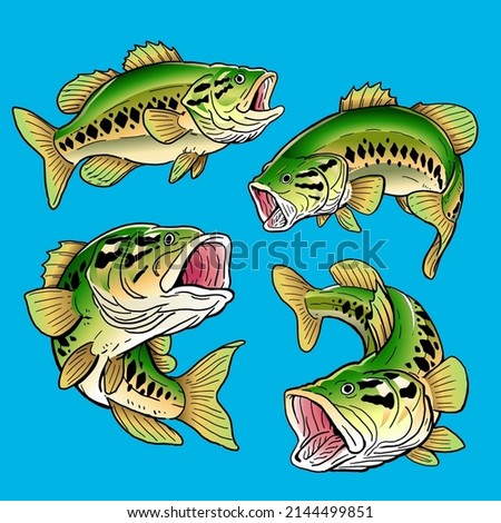 set of bass fish for premium pack