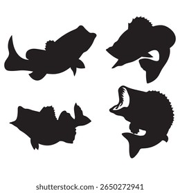 Set of bass fish vector illustrations