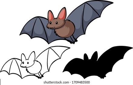 Set of bat cartoon illustration