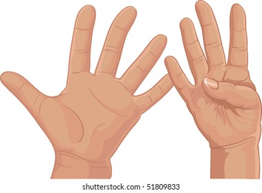 Set of batch nine from fingers