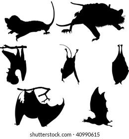 Set of Bats Silhouettes in Different Poses. High Detail, Very Smooth. Vector Illustration. 