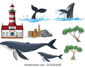 Set of beach coast objects and elements illustration