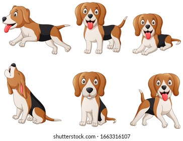 Montaje de dibujos animados de perros de color beagle. Ilustración del vector