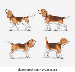 105 549件の ビーグル犬 の画像 写真素材 ベクター画像 Shutterstock