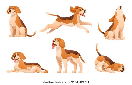 Set of beagle dog in various poses cartoon