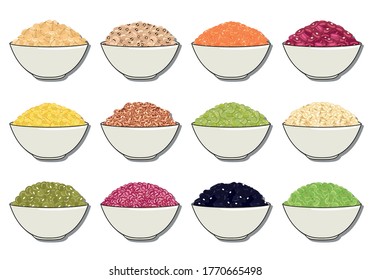 Bohnen und Hülsenfrüchte in Schüssel. Chickpea, Nierenbohne, Mung, Soja, Linsen, Puffbohnen, Adzuki, Limabohnen. Bio gesunde Lebensmittel. Veganisches und vegetarisches Poster. handgezeichnete Vektorgrafik