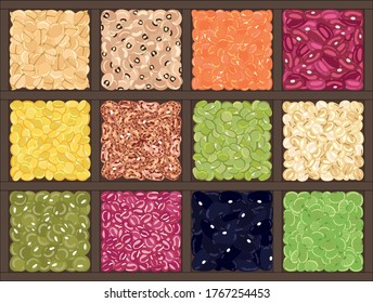 Set of beans and legumes in a wooden box. Chickpea, kidney bean, mung, soy, lentils, pinto beans, adzuki, lima beans. Organic food. Vegan and vegetarian poster. Hand drawn vector illustration