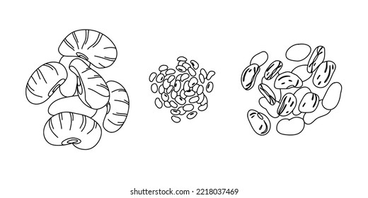 Set of beans in line-art style. A handful of red beans, white beans and lima beans.