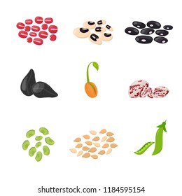 Bean Stock Vectors, Images & Vector Art | Shutterstock