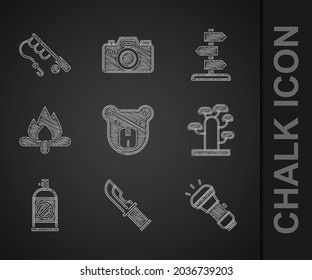 Set Bear head, Hunter knife, Flashlight, African tree, Spray against insects, Campfire, Road traffic sign and Fishing rod icon. Vector