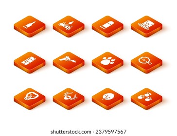 Set Bear head on shield, Deer antlers, Lighter, Pistol or gun, Tree, Paw print,  and Trap hunting icon. Vector