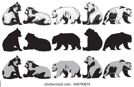 Set of bear on a white background, vector Illustration 