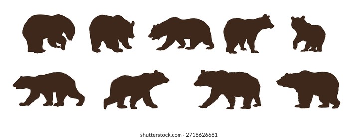 Conjunto de siluetas de oso Ilustración vectorial