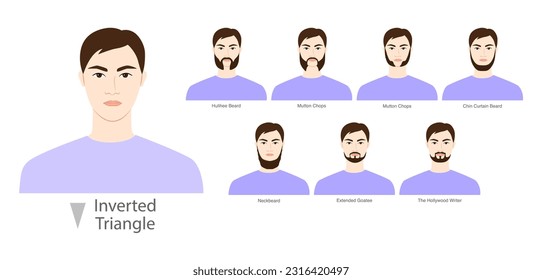 Set of Beard style for Inverted Triangle face shape and mustache men illustration Facial hair. Vector purple portrait male Fashion template flat barber. Stylish hairstyle isolated outline on white