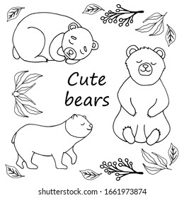 Set of bears design elements. Сoncept nature wildlife. Hand drawn vector illustration in doodle style outline drawing isolated on white background