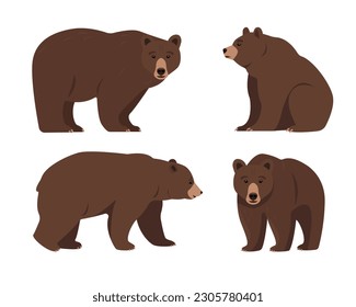 Set of bears in different poses. Wild brown Bear animal icons isolated on white background. Grizzly bear standing, sitting and walking. Vector illustration.