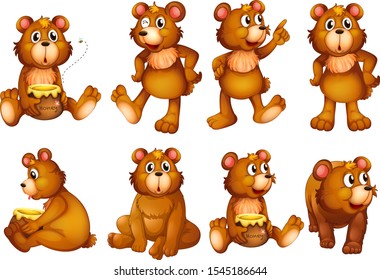 Set of bears isolated on white illustration