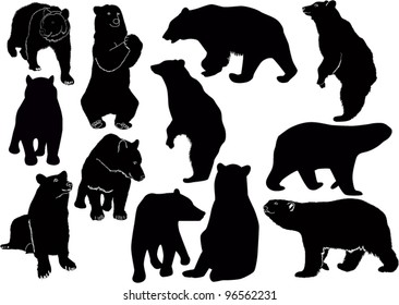 set of bears isolated on white background
