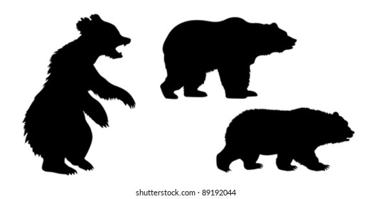 set of the bears on white background