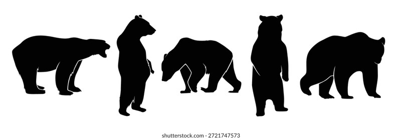 Conjunto de la silueta de los osos aislados en un fondo blanco