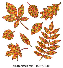 Set of beautiful abstract leaves on white background