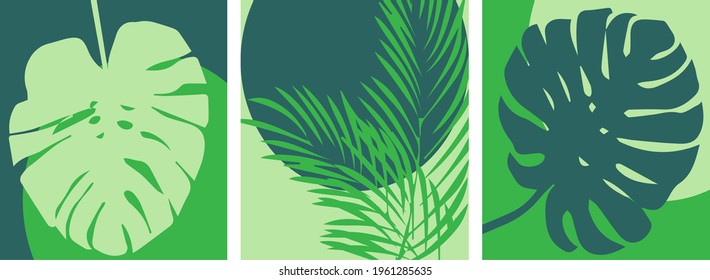 Set of beautiful abstract paintings, posters with the theme of jungle leaves. Suitable for postcard, poster, book cover, wallpaper. Vector image