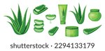 Set of beautiful aloe vera in cartoon style. Vector illustration of various green aloe vera leaves, cut into large and small sizes with drops, aloe creams and gels isolated on white background.