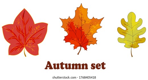 conjunto de bellas hojas de otoño ilustraciones vectoriales aisladas en fondo blanco