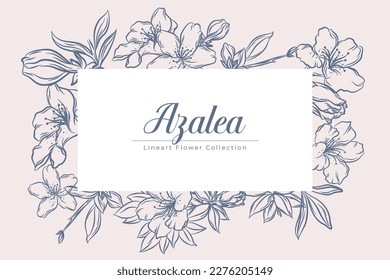 Set of Beautiful Azalea Flower Line Ar Illustration