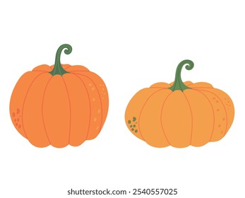 Set of beautiful big orange pumpkins isolated on white background. Hand drawn vector flat colored illustration. Symbol of thanksgiving day, autumn, happy halloween, harvest design, farm, agriculture