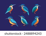 A set of beautiful bird Kingfishers vector illustration