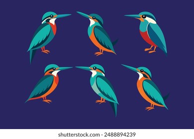 A set of beautiful bird Kingfishers vector illustration